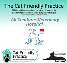 All Creatures Veterinary Hospital in Salem, MA is a Cat-Friendly Practice for Felines