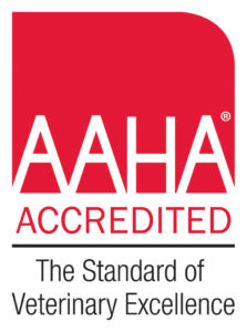 AAHA Accredited Salem