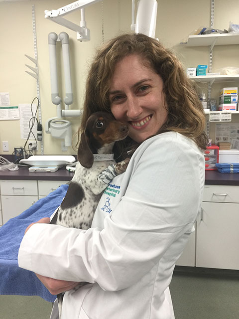 research veterinarians