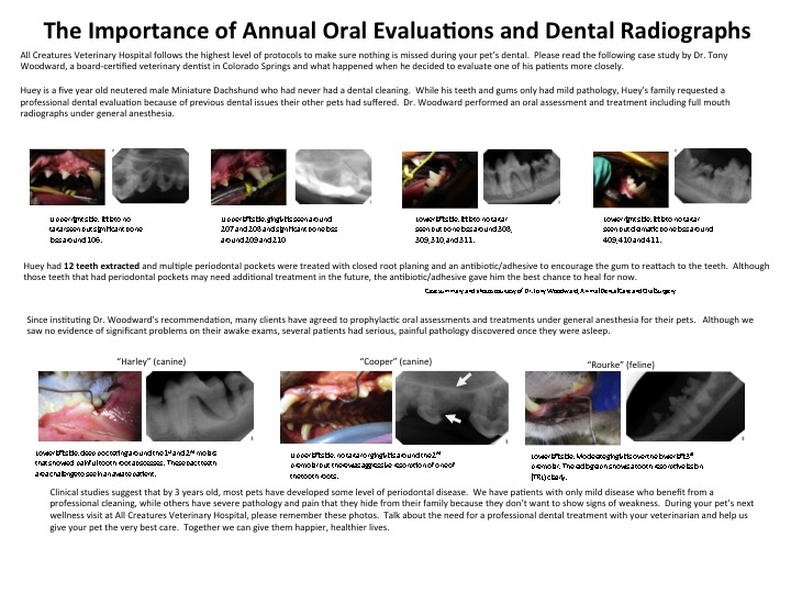 The Importance of Annual Oral Evaluations and Dental Radiographs Salem, MA