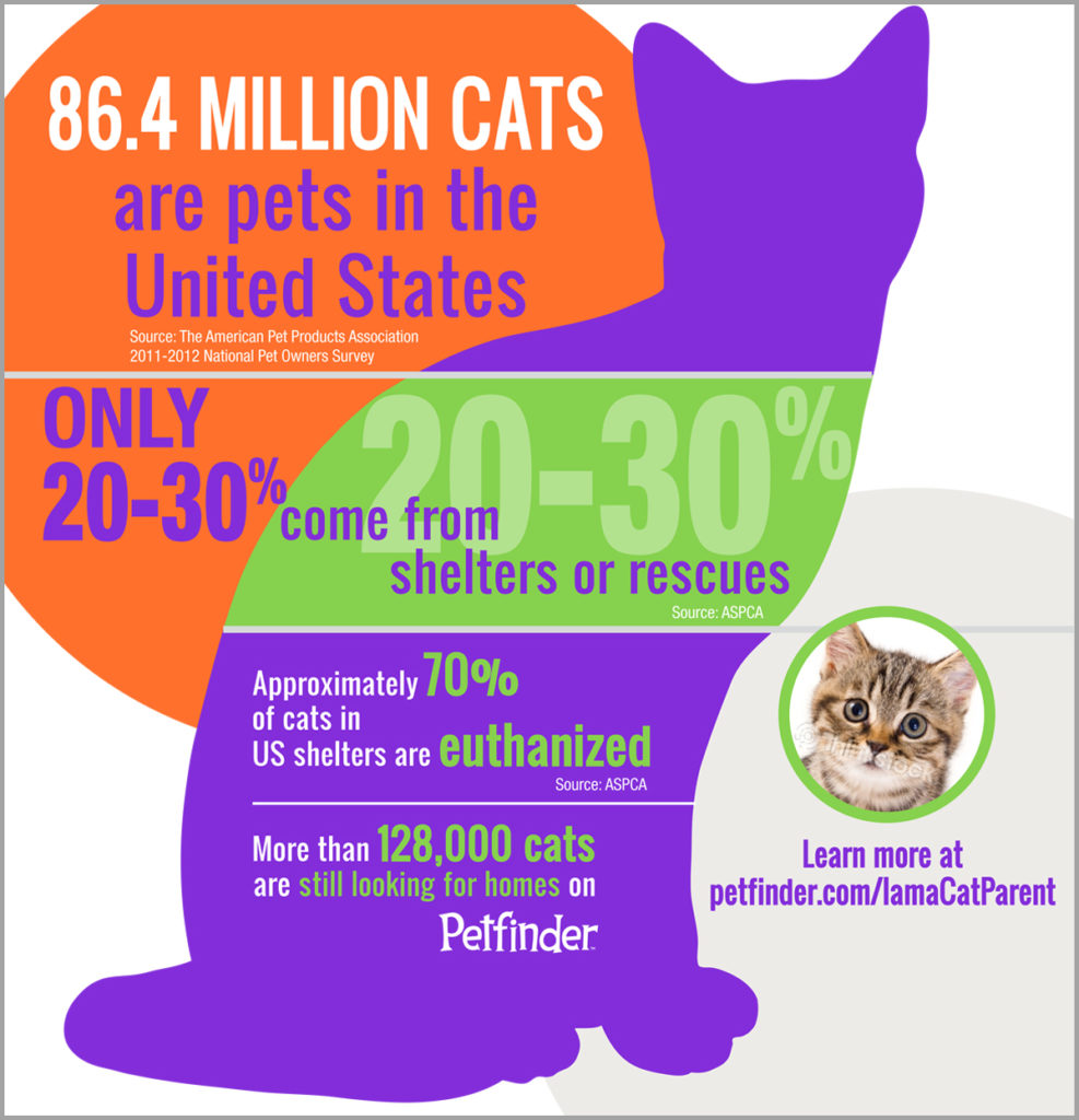 86.4 million cat statistics
